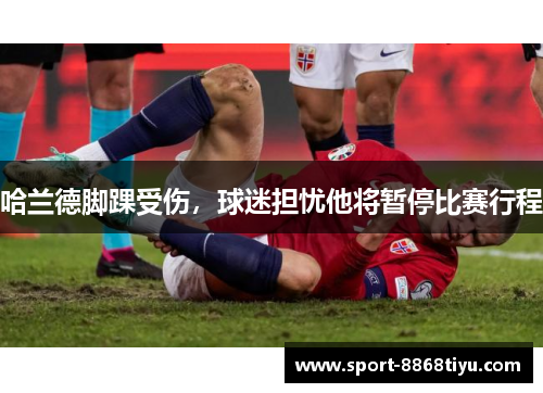 哈兰德脚踝受伤，球迷担忧他将暂停比赛行程